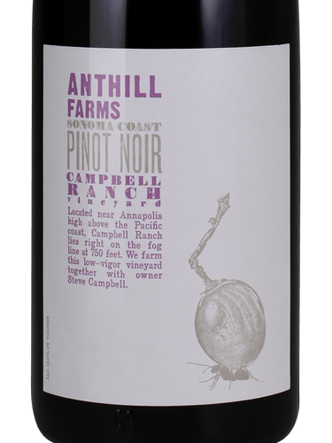 Anthill Farms Pinot Noir Sonoma Coast Campbell Ranch Vineyard 2021