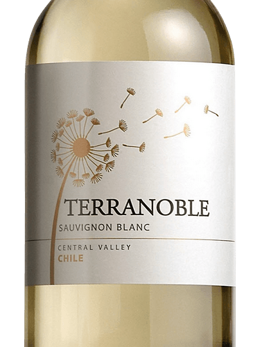 Terranoble Sauvignon Blanc