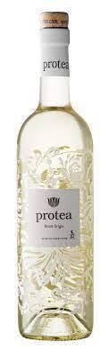 Protea Pinot Grigio 2022/23